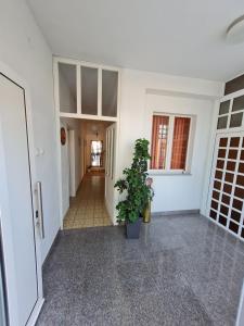 Fotografie z fotogalerie ubytování Guest House Barba v destinaci Bibinje