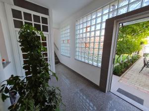 Zahrada ubytování Guest House Barba
