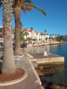 a row of palm trees next to a body of water at Rooms Zela 1 in Korčula
