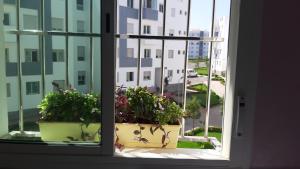 an open window with two potted plants on a window sill at perle rare plage des Nations in Sidi Bouqnadel