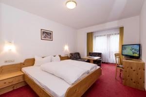 TV i/ili multimedijalni sistem u objektu Hotel Silvretta