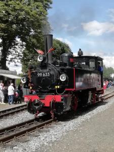 un train à vapeur assis sur les voies dans l'établissement Ferienwohnung am Pochebach, à Jonsdorf
