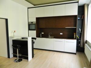 Kuchyň nebo kuchyňský kout v ubytování Design apartments Brno-center