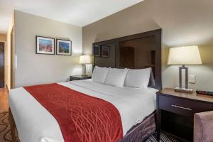 Gallery image of Comfort Inn & Suites in Fruita