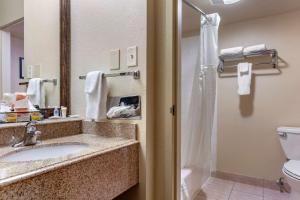 a bathroom with a sink and a shower at Comfort Inn City of Natural Lakes in Santa Rosa