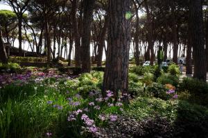 a garden with purple flowers and trees in a park at Fabulous village in Casal Palocco