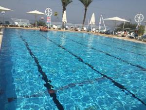 Bazén v ubytování King Solomon Hotel Tiberias nebo v jeho okolí