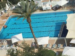 Bazén v ubytování King Solomon Hotel Tiberias nebo v jeho okolí