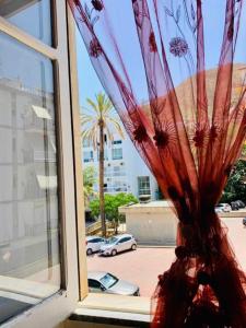 un vaso pieno di fiori seduto in una finestra di La Casa di Anita a Cefalù