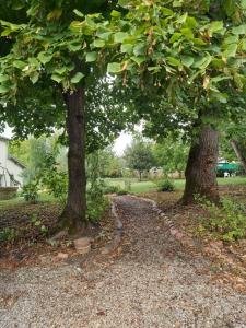 Foto da galeria de Ô Nature chéris mes voeux avant qu'ils s'enfuient em Francescas