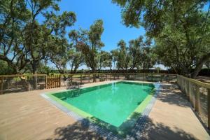 a swimming pool with a wooden deck and trees at Finca Olivar de la Bardena in Tudela