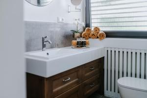 A bathroom at Apartmány Evia clinic