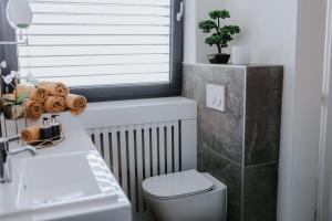 A bathroom at Apartmány Evia clinic