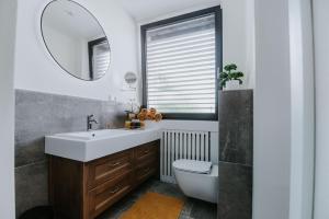 A bathroom at Apartmány Evia clinic