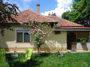 una casa con un árbol florido en el patio en Vida-lak, en Berekfürdő