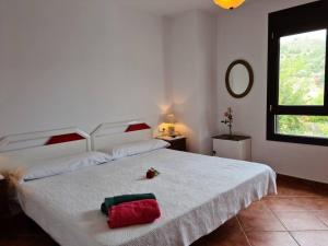 Beautiful Villa swimming pool close to Granada, Cónchar ...