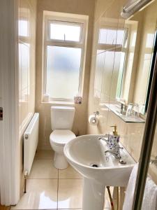 uma casa de banho com um WC, um lavatório e uma janela em Seven Oaks B&B em Ballyhaunis