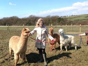 a woman is standing with a group of sheep at Jurassic Apartments in Weymouth