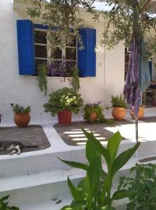 a cat sleeping in front of a house with plants at Stamoulis Apartments in Kámpos