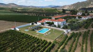 an aerial view of a villa with a swimming pool in a vineyard at Quinta Sta Luzia Carrascal in Vila Flor