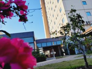 a building with pink flowers in front of it at Pinda Palace Hotel in Pindamonhangaba