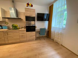 Küche/Küchenzeile in der Unterkunft ML Suites na Ruská