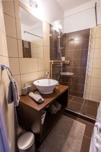 La salle de bains est pourvue d'un lavabo et d'une douche. dans l'établissement Center Home Apartman, à Orosháza