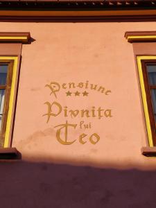 Certifikát, hodnocení, plakát nebo jiný dokument vystavený v ubytování La Teo Pensiune si Pivnita