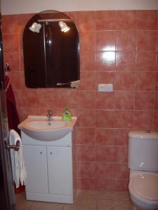 y baño con lavabo y aseo. en Penzion Orion Hovorany, en Hovorany