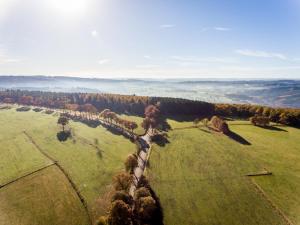 an aerial view of a field with trees in the distance at Gîte-Auberge Kaleo de Wanne in Trois-Ponts
