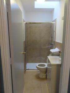 W łazience znajduje się prysznic, toaleta i umywalka. w obiekcie Troysgate House w mieście Kilkenny