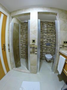 a bathroom with a shower and a toilet at Malahit Exclusive City Hotel in Fethiye
