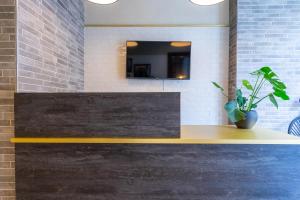 a counter with a potted plant and a mirror at Lady Todd in Sliema