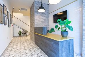a lobby with a counter with a potted plant at Lady Todd in Sliema