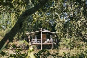 阿尔科巴萨Parque dos Monges的河中树屋