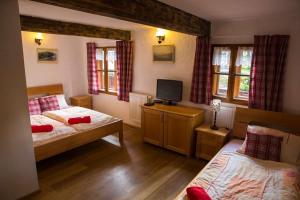 sypialnia z dwoma łóżkami i telewizorem w obiekcie Penzion U Zlomené lyže w mieście Železná Ruda
