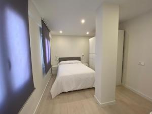 1 dormitorio con 1 cama en una habitación blanca en Apartamento Andalucía Centro, en Antequera