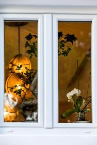 Fotografie z fotogalerie ubytování Casa Grande Hotel v destinaci Platis Gialos