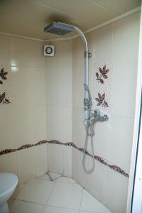 een douche in een badkamer met toilet bij DUPLEX in Tbilisi City