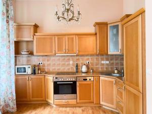 Kuchyň nebo kuchyňský kout v ubytování Apartmá Marie 1880