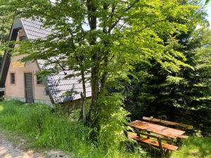 a wooden bench next to a tree in front of a house at Holiday Home Kragovic in Kopaonik