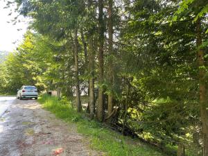 Holiday Home Kragovic في كوباونيك: سيارة متوقفة على جانب طريق به أشجار