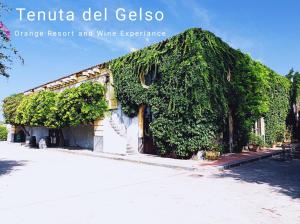 a building covered in green ivy on a street at Tenuta del Gelso in Catania