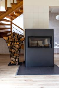 a fireplace in a living room with a rock wall at Aušra in Druskininkai