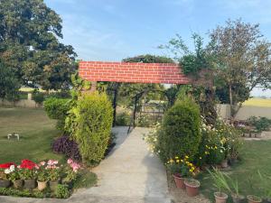 Aed väljaspool majutusasutust Mango Grove Farm +41 fotot