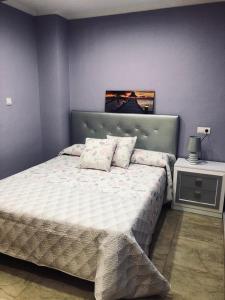 Un pat sau paturi într-o cameră la Piso lujoso