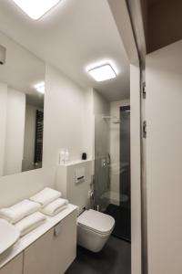 Uma casa de banho em Apartament EXCLUSIVE FYRTEL WILDA - NEW