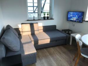 a living room with a couch and a table at Poolhouse, no smoking everywhere in Kvistgård