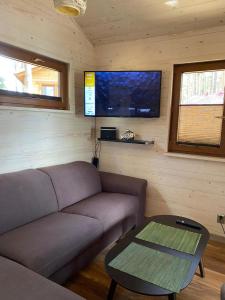 sala de estar con sofá y TV de pantalla plana en Domek Dziesiątka Borsk nad samym jeziorem - pierwsza linia en Borsk