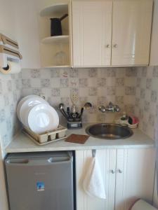 una piccola cucina con lavandino e piano di lavoro di Villa Soula Kaliva a Kefalos Altre 21 foto